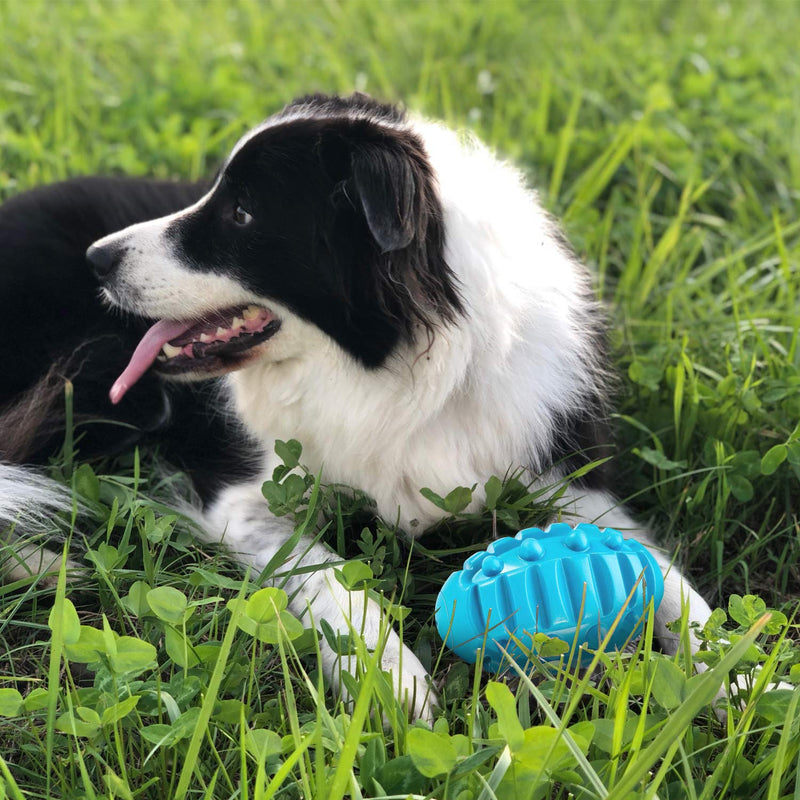 Dog Chew Toys for Aggressive Chewers Large Breed, Non-Toxic Natural Rubber Squeaky Dog Toy, Tough Durable Puppy Toothbrush Toy for Medium Large Dogs - Fun to Chew, Chase, and Fetch (Beef Flavored) ‎Squeaky Dog Toy · Light Blue - PawsPlanet Australia
