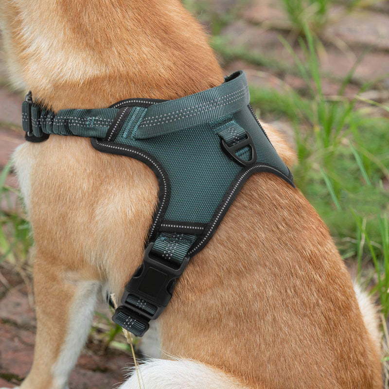 [Australia] - rabbitgoo Dog Harness No Pull, Adjustable Dog Walking Harness with 2 Leash Clips & Shock-Absorbing Bungee Straps, Soft Padded Pet Vest Harness Reflective with Control Handle for Large Medium Dogs 