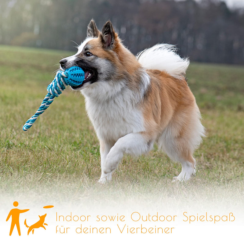 PAWDY dog rope with ball for fun and dental care - Robust dog toy for medium & large dogs - Chew toy with nubs made of natural rubber - Ball rope throwing toy for dogs (blue) Blue - PawsPlanet Australia
