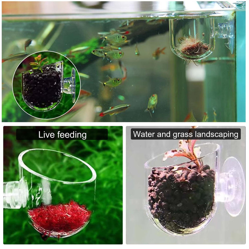 Pizsieat Pack of 8 Aquarium Plant Holders with Suction Cup, Aquarium Plant Glass Cup Transparent Water Plant Pot Glass for Aquarium Landscape Mini Fish Tank Decoration - PawsPlanet Australia