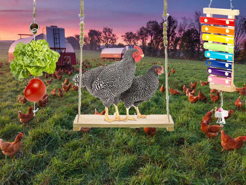 Hokoad Chicken Swing Toys , Chicken Toys Xylophone and Chicken Veggie Feeder New - PawsPlanet Australia