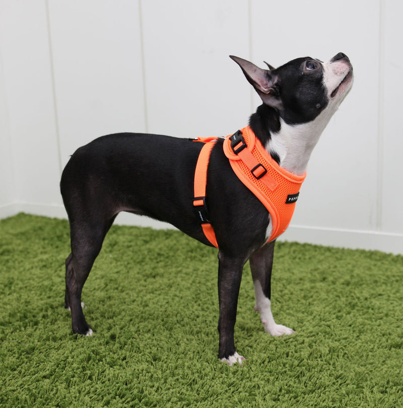 [Australia] - Puppia Authentic Neon Soft Harness II Large Orange 