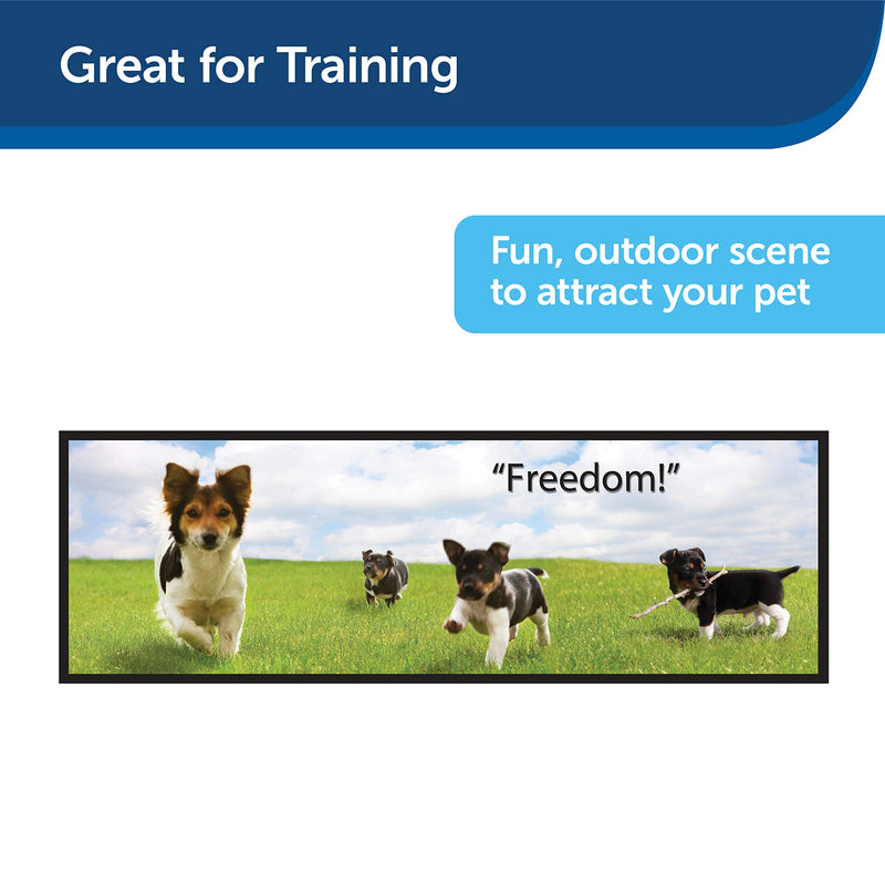 PetSafe Piddle Place Guard Freedom, Splash Protection, Toilet Training - PawsPlanet Australia