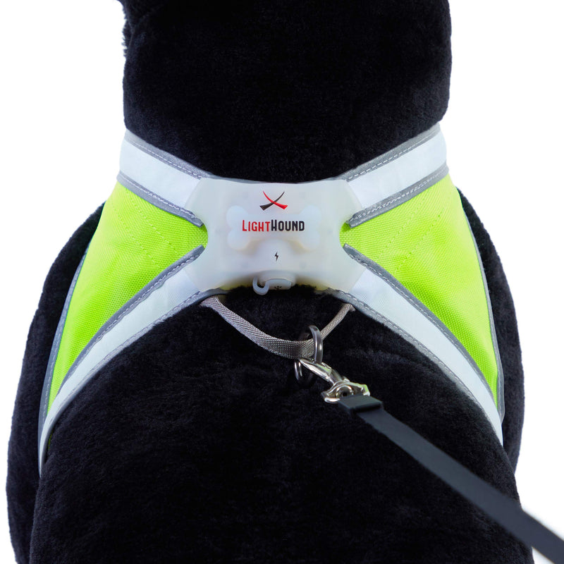 [Australia] - noxgear LightHound – Revolutionary Illuminated and Reflective Harness for Dogs Including Multicolored LED Fiber Optics (USB Rechargeable, Adjustable, Lightweight, Rainproof) Large 