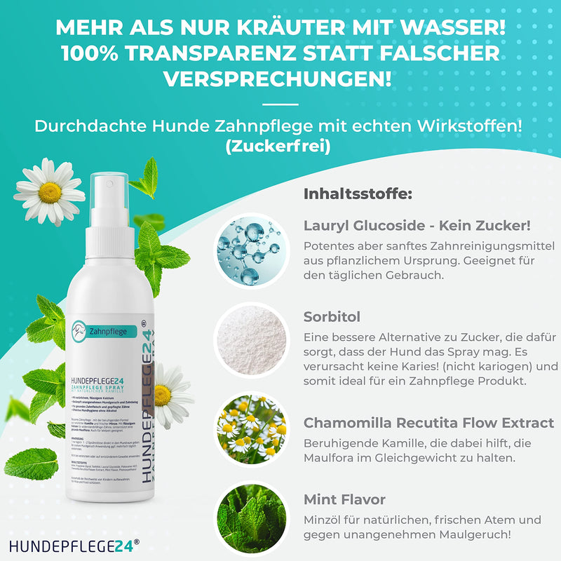 Hundepflege24 dental spray for dogs and cats - healthy, clean, strong teeth and fresh breath with natural active ingredients such as chamomile, calcium and mint - dental care spray for dogs (150ml) 150ml - PawsPlanet Australia