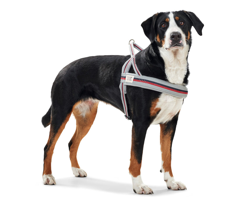 HUNTER New Orleans Stripes Norwegian Harness for Dogs with Cotton Fleece Padding Water Resistant XXL Grey - PawsPlanet Australia