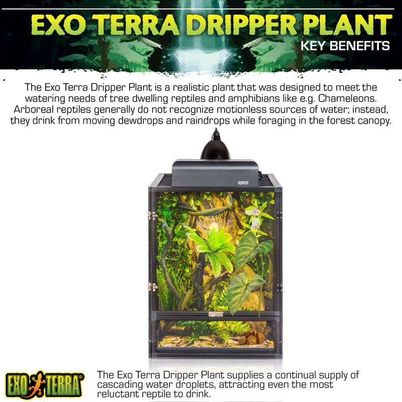 Exo Terra Dripper Plant, Small S - PawsPlanet Australia