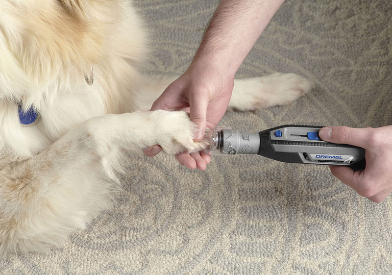 Dremel PawControl Dog Nail Grinder and Trimmer- Safe & Humane Pet Grooming Tool Kit- Cordless & Rechargeable Claw Grooming Kit for Dogs, Cats, and Small Animals 7760-PGK - PawsPlanet Australia