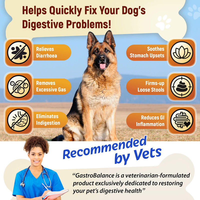 GastroBalance fast-acting diarrhea aid for dogs - natural dog diarrhea treatment with immediate effect - PawsPlanet Australia