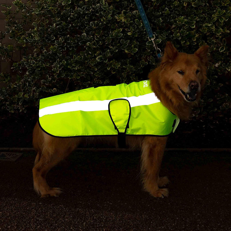 Proviz Sports 100% Reflective High-Vis Waterproof Dog Coat, Yellow, Medium - PawsPlanet Australia