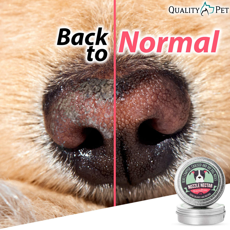 Nozzle Nectar Dog Nose Balm Relieves Dry Dog Nose Symptoms - PawsPlanet Australia