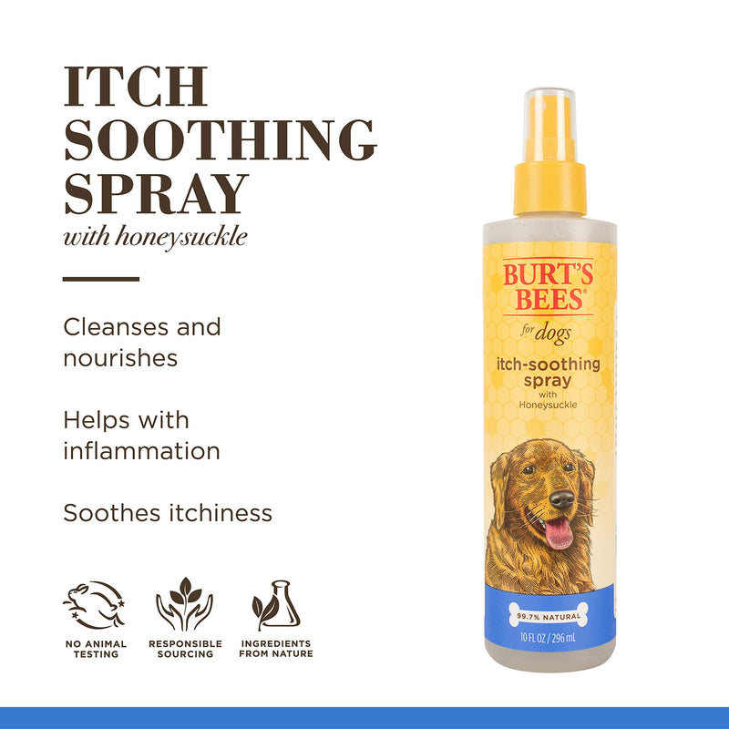 Burt's Bees for Dogs Itch Soothing Shampoo and Spray, Honeysuckle - Dog Grooming Supplies, Dog Wash, Dog Shampoo, Pet Shampoo, Dog Itch Shampoo, Puppy Itch Spray, Anti Itch 10 oz - 2 Pack - PawsPlanet Australia