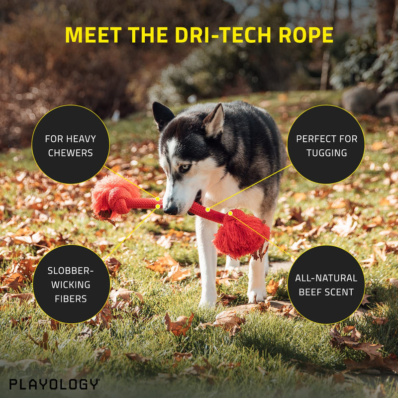 Playology Dri-Tech Ring Dog Toy - Engaging All-Natural Scented Dog Toys for Small, Medium & Large Dogs - Interactive & Tough Non-Toxic Chew Toys for Teething Medium Rope Beef - PawsPlanet Australia