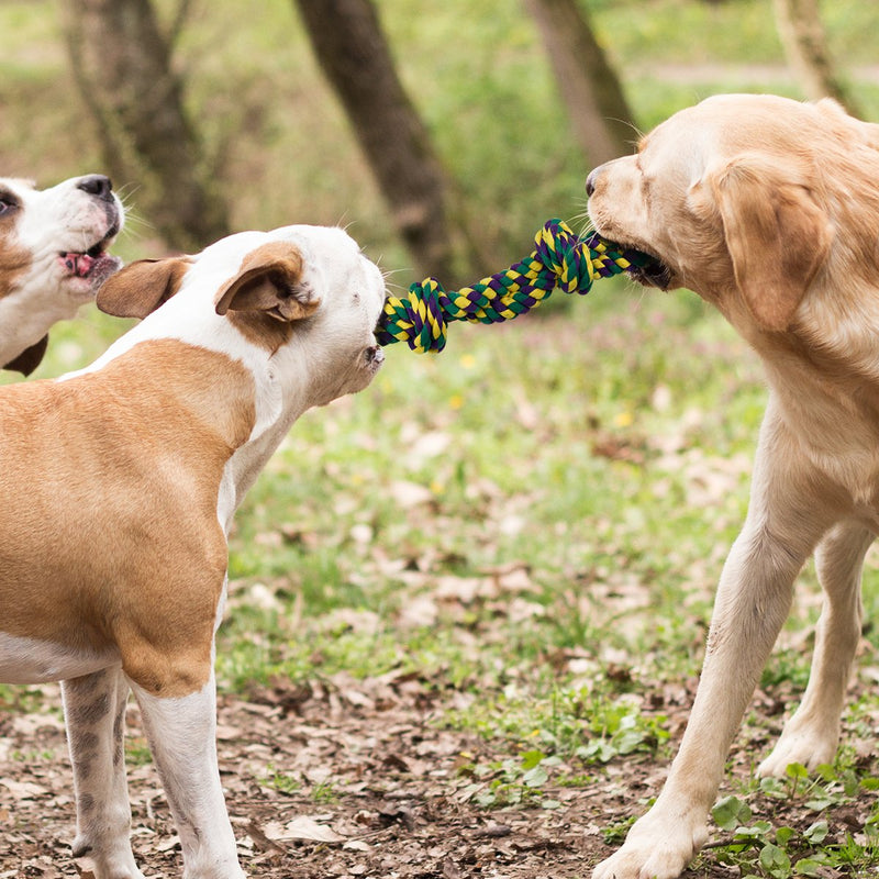 RIO Direct Dog Rope Toys for Strong Dogs Large dogs, Sturdy 3-Knots Rope Tug, Tough Dog Chew Toy - Extra Durable - Nearly Indestructible - Washable, for Large Breeds Big Dogs - PawsPlanet Australia