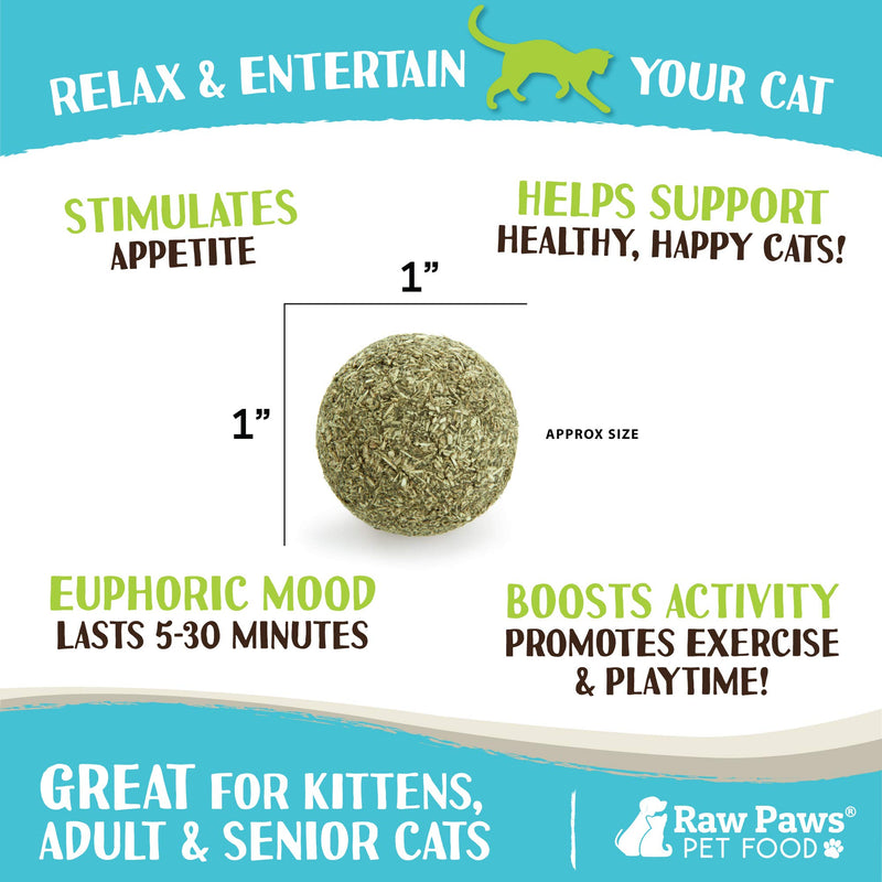 [Australia] - Raw Paws Compressed Catnip Ball Toy, 6 Pack - Catnip Toys for Indoor Cats - All Natural Catnip for Cats - Cat Toy Interactive Ball - Cat Kicker Toy Catnip Cat Toys - Cat Nip Kitty Toys - Cat Ball Toy 6-pack 