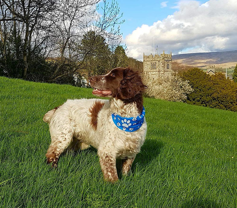 Ruffnek REFLECTIVE BLUE PAW & BONE PRINT DOG SCARF/COLLAR/BANDANA BE SAFE, BE SEEN - PawsPlanet Australia