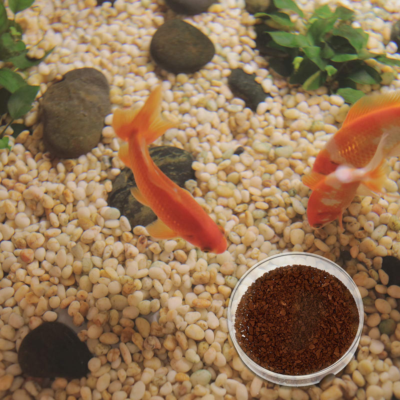 Patelai 3 Pieces Aquarium Shrimp Feeding Dish Glass Fish Clear Tank Feeding Bowl - PawsPlanet Australia