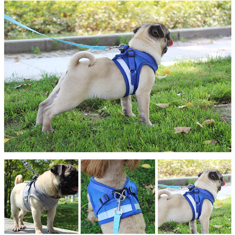 PETCUTE Reflective Dog Harness Adjustable No Pull Dog Harness Mesh Vest Puppy Chest Harness With Leash Blue L - PawsPlanet Australia