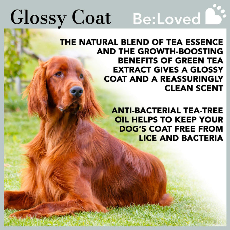 Be:clean Natural Dog Shampoo Bar Antibacterial & Cleansing, Natural Ingredients Green Tea & Tea Tree Essence, Handmade in the UK - 110g Soap Bar - PawsPlanet Australia