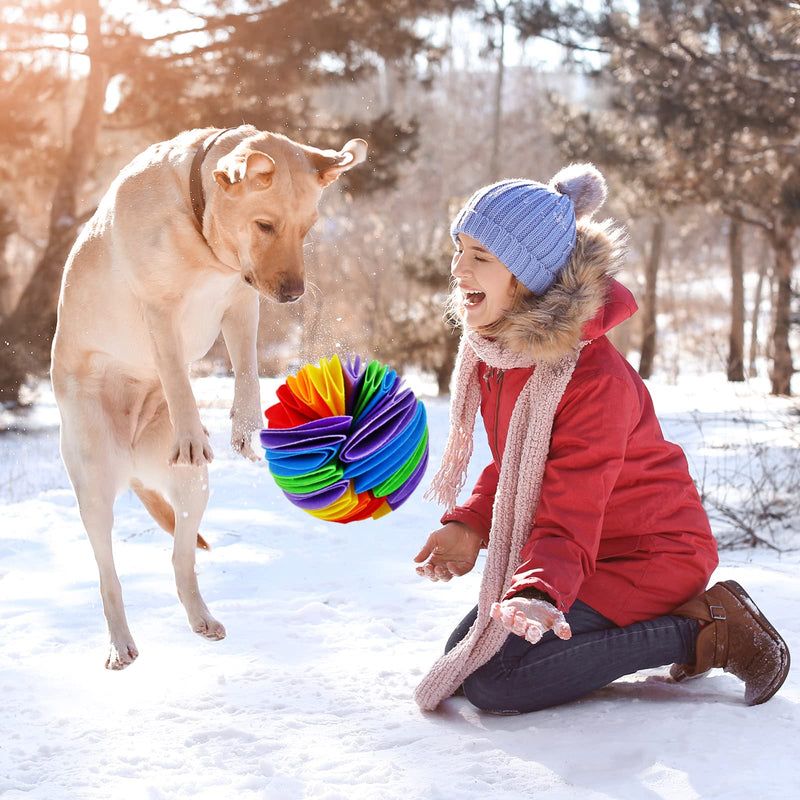 22cm Rainbow Snuffle Ball Dog Puzzle Toys Pet Feeding Mat Pet Cat Dispensing Training Interactive Toy Puppy Slow Feeding Increase IQ Slow Dispensing Foraging Feeder for Dogs Cats Stress Relief - PawsPlanet Australia