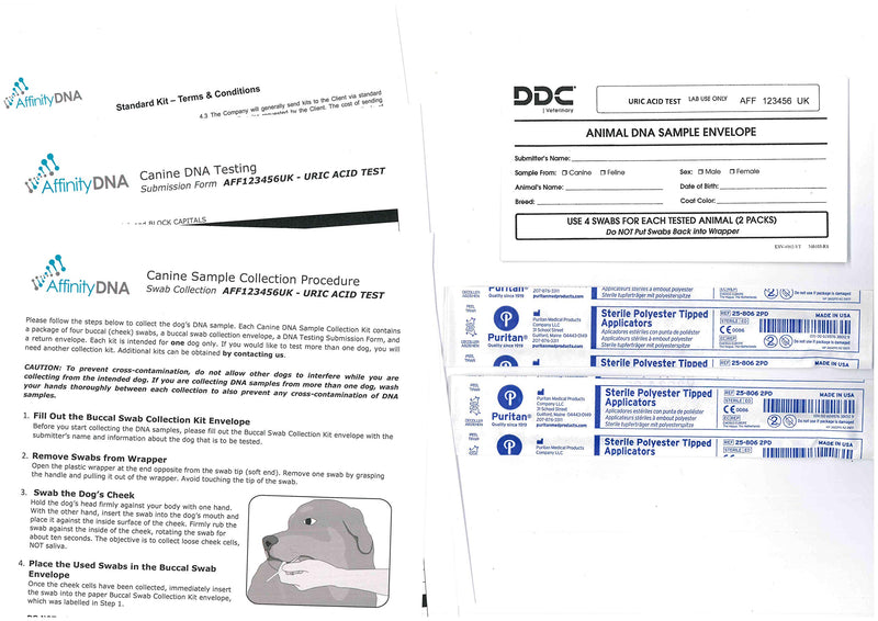 AffinityDNA Dog Uric Acid DNA Test for Hyperuricosuria - Home Sample Collection Kit for 1 Canine - Dog Uric Acid Testing - PawsPlanet Australia