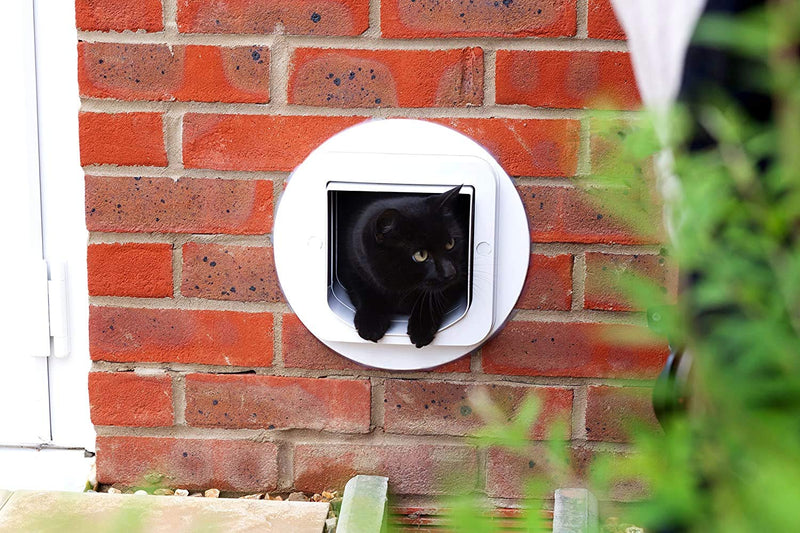 SureFlap Cat Flap with Microchip Identification, White (4 x AA batteries required) - PawsPlanet Australia