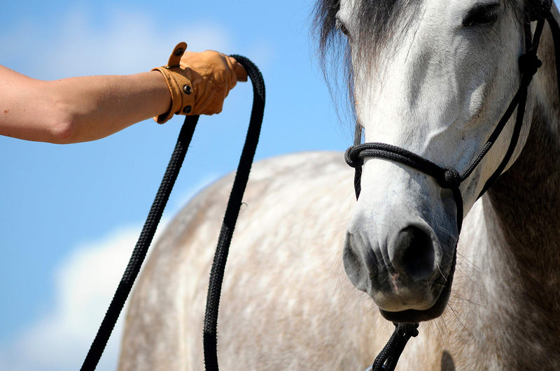 Natural Horsemanship Rope Halters Headcollars For Parelli Training in 11 Sizes - Miniature, Foal, Shetland, Weanling, Pony, Cob, Arab, Full Horse, Extra Full & Draft/Draught 01. Miniature Foal White - PawsPlanet Australia