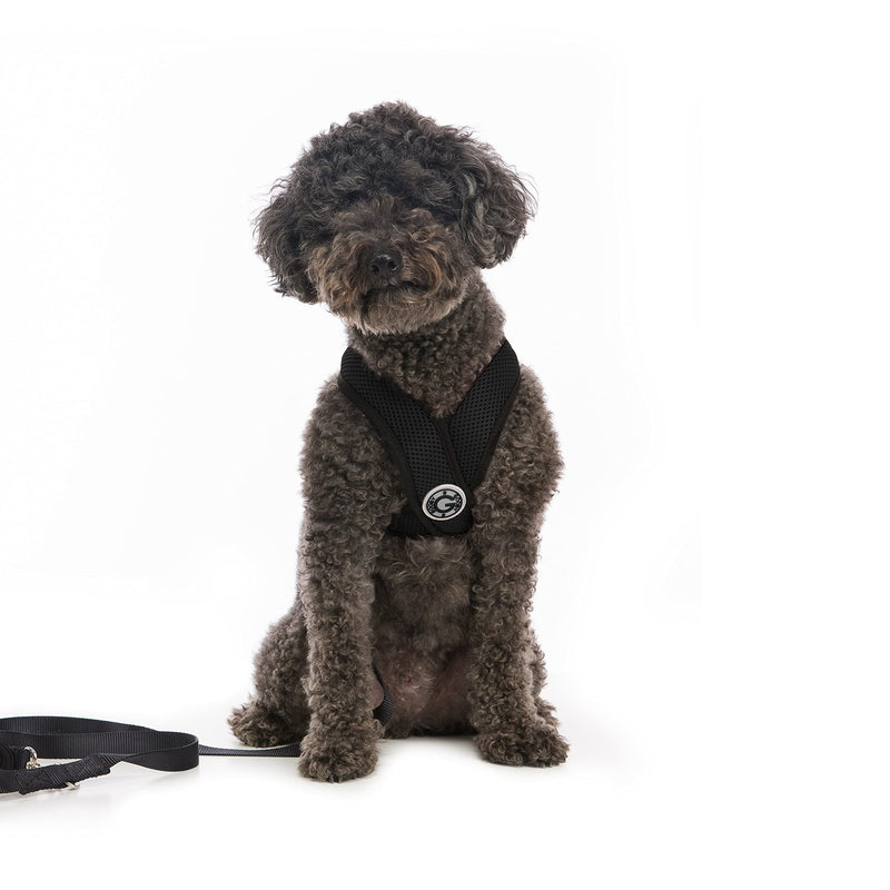 Gooby Comfort X Head in Harness - No Pull Small Dog Harness with Patented Choke-Free X Frame - Perfect on The Go Dog Harness for Medium Dogs No Pull or Small Dogs for Indoor and Outdoor Use Small (5-9 lbs) Black - PawsPlanet Australia