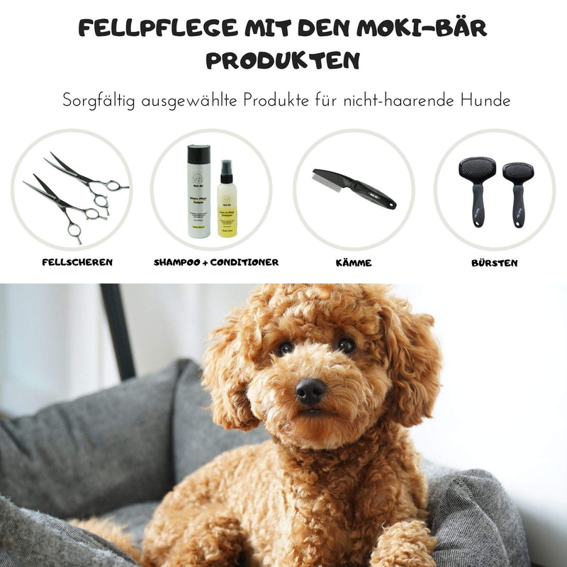 Moki Bear Soft Brush Dog Brush Poodle with Protective Knobs for Particularly Sensitive Animals I Ideal for Non-shedding Dogs I Small S (Pack of 1) - PawsPlanet Australia