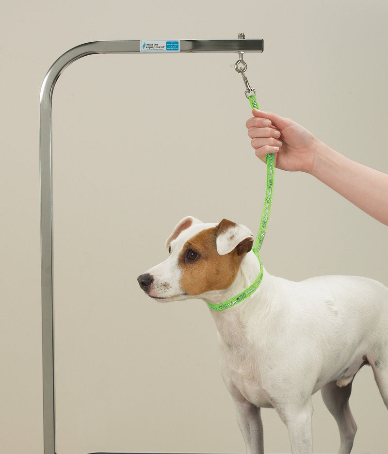 Top Performance Basic Grooming Loops - Versatile Nylon Loops to Secure Dogs on Tabletops While Grooming - 18", 4-Pack - PawsPlanet Australia
