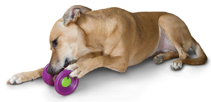 PetSafe Busy Buddy Ultra Woofer S Durable Dog Chew Toy, Dog Toy with Treat, Small Dogs purple - PawsPlanet Australia