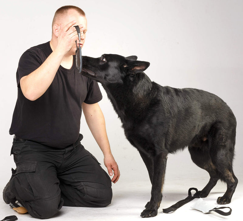 Dingo Gear Bite Tug Genuine Leather Handmade Tough Toy for K9 Dog Training and Play S00229, Black - PawsPlanet Australia