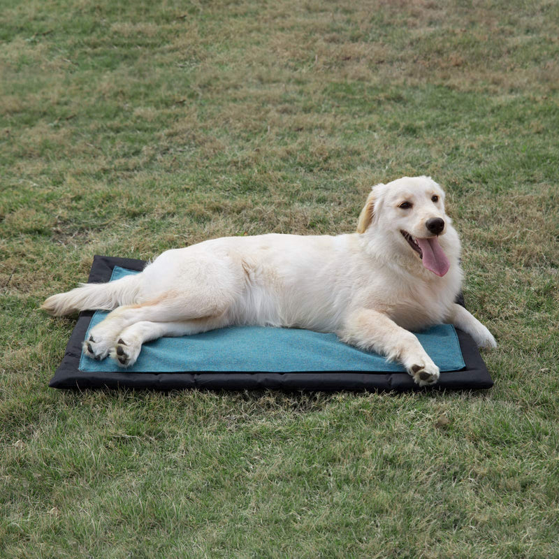 SEYKCES Dog Bed Crate Bed Washable Dog Crate Pad with Removable Cover and Waterproof Liner Pet Bed for Medium Small Dogs and Cats 24"/35" (Medium) - PawsPlanet Australia