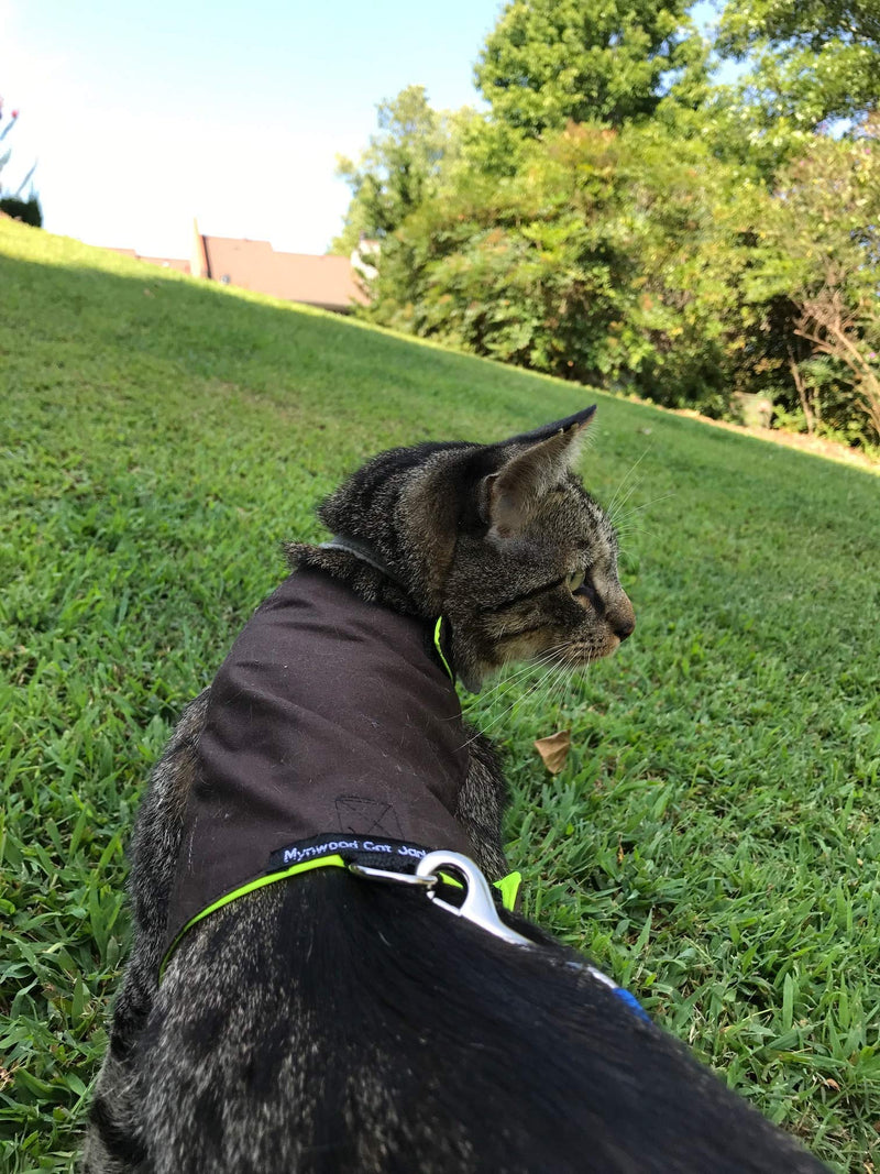 Mynwood Cat Jacket/Harness Black Adult Cat - PawsPlanet Australia