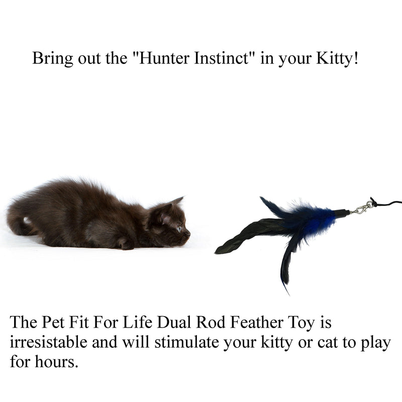 [Australia] - Pet Fit For Life Feather Teaser and Exerciser for Cat and Kitten - Cat Toy Interactive Cat Wand 