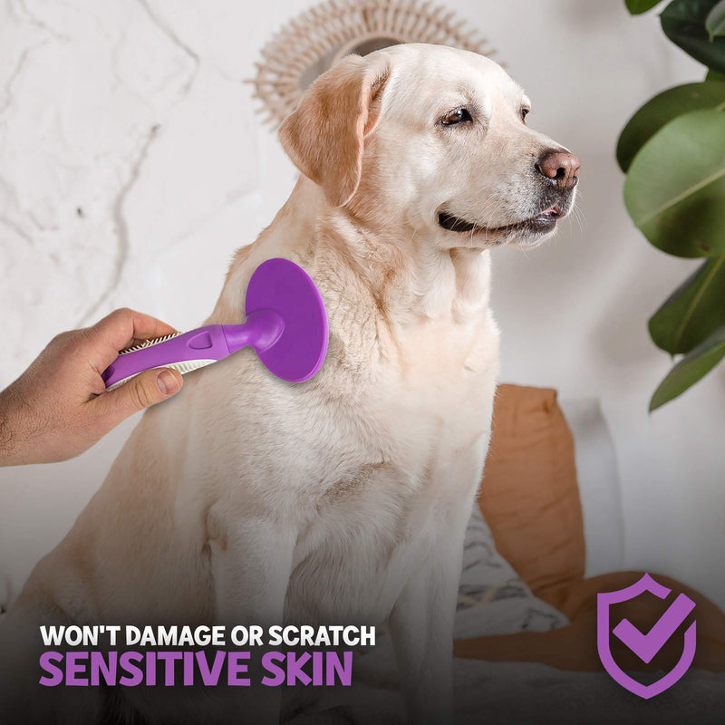 Round Bristle Pet Brush for Dogs and Cats - Gentle Grooming for Short or Long Hair - Soft Tool for Sensitive Skin Removes Dander, Dirt, and Detangles - Purple - PawsPlanet Australia