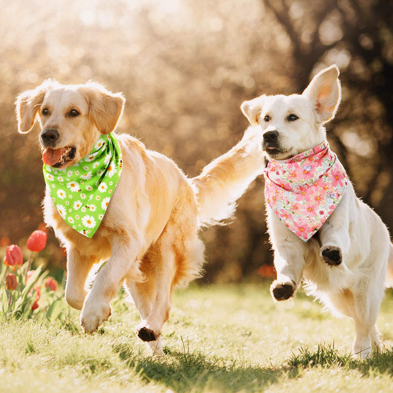 8 Pieces Floral Dog Bandana Spring Flower Pet Triangle Bib Scarf Daisy Rose Pet Bandana Washable Adjustable Dog Kerchief Suitable for Most Dogs and Cats (Cute Pattern) - PawsPlanet Australia