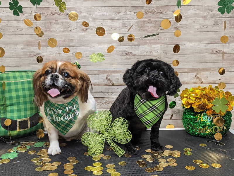 2Pack St Patricks Day Dog Bandana, Green Plaid Dog Bandana with Shamrock Pattern - PawsPlanet Australia