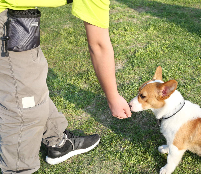 [Australia] - Vivaglory Dog Treat Bag, Hands-Free Puppy Training Pouch with Adjustable Waistband and Built-in Dog Waste Bag Dispenser, 2 Ways to Wear Basic Grey 