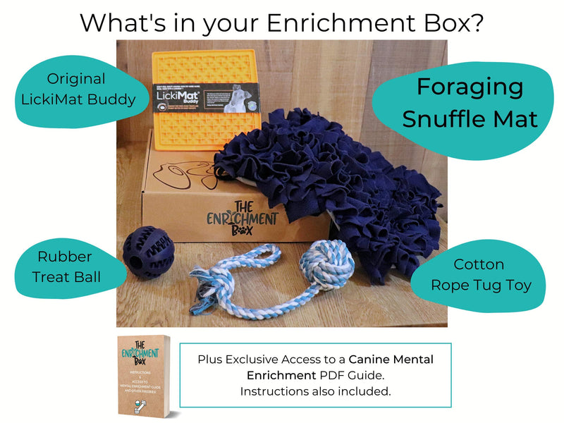 The Enrichment Box Snuffle Mat for Dogs Puppies, Interactive Dog Toys, Brain Games and Puzzle Feeder, Foraging Scent Work - PawsPlanet Australia