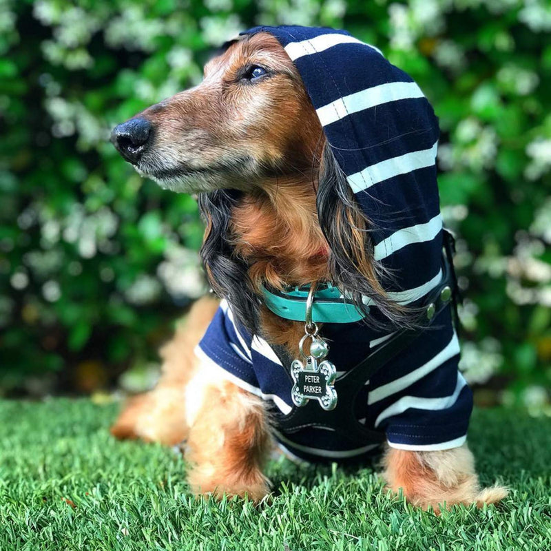 DJANGO Dog Hoodie and Super Soft and Stretchy Sweater with Elastic Waistband and Leash Portal X-Small Navy - PawsPlanet Australia