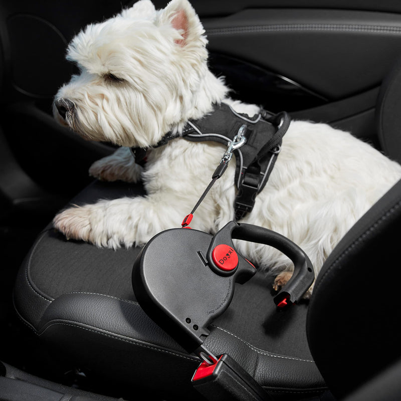 Dogxi dog leash roll leash 5m 25kg handle foldable strap tongue attach in the car small medium dogs black with carabiner leash 11mm wide extendable adjustable retractable - PawsPlanet Australia