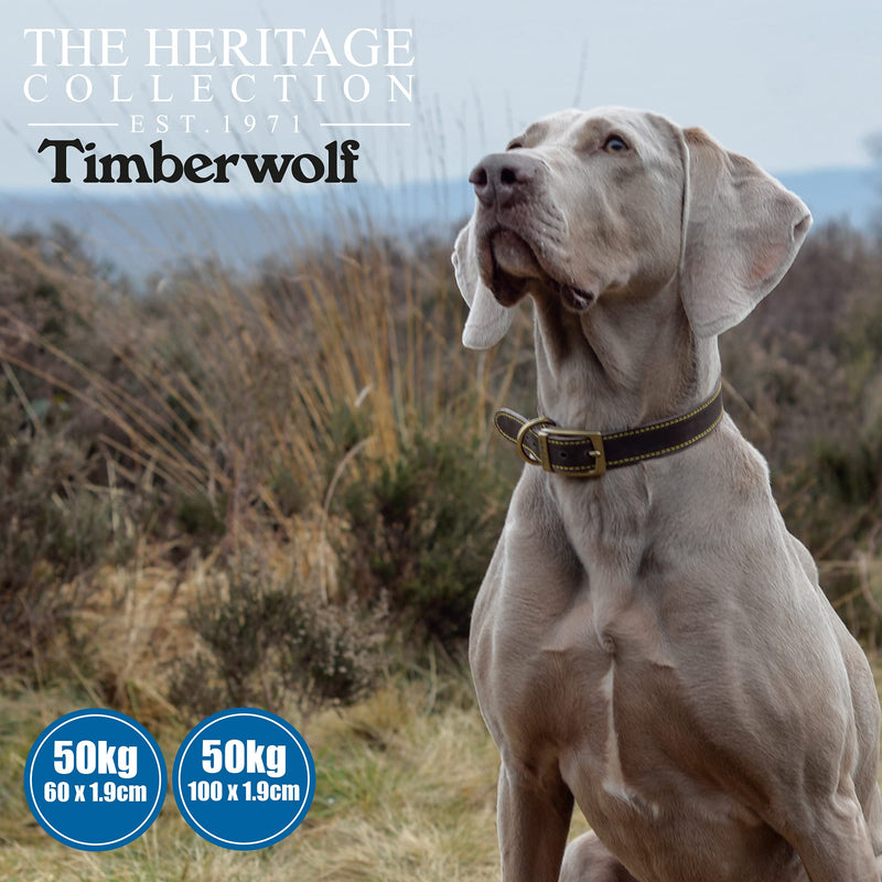 Ancol Timberwolf Leather Dog Lead, 1 m, Sable - PawsPlanet Australia