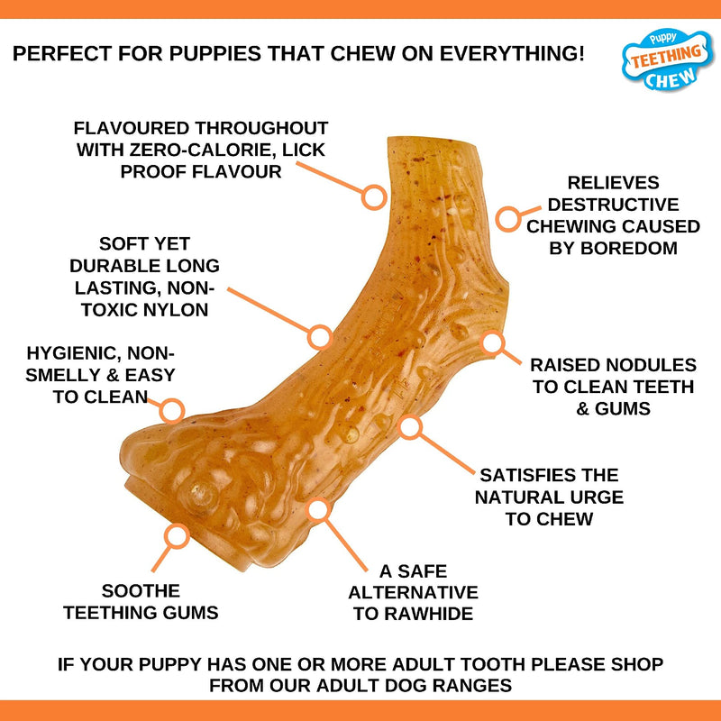 Nylabone Antler Alternative Gentle Puppy Dog Teething Chew Toy, Chicken Flavour, Extra Small, for Puppies Up to 7 kg Puppy Antler X-Small - PawsPlanet Australia