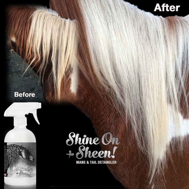 [Australia] - The Blissful Horses Shine-On Detangling Spray, 16-Ounce 