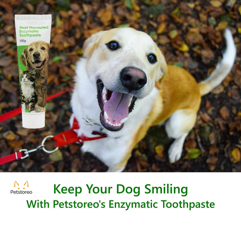 Petstoreo Enzymatic Dog Toothpaste - Used by UK Vets - 100g - Beef Flavour - Suitable for Cats - PawsPlanet Australia