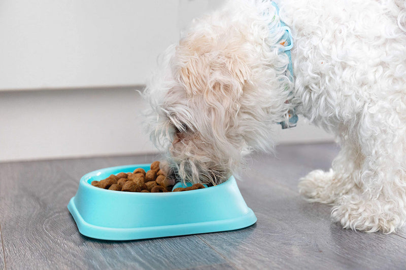 Slow eating dog bowl - PawsPlanet Australia