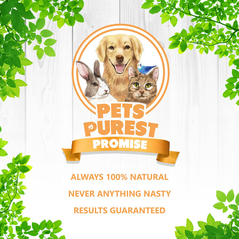 Pets Purest Dog Treats Beef Strips - 100% Natural Air-Dried Chews for Dogs, Puppy & Senior. Pure Healthy Hypoallergenic Grain, Gluten & Lactose Free Raw Pet Food Treat Sticks -100g - PawsPlanet Australia