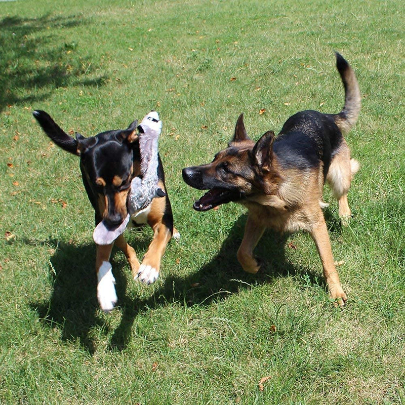 onebarleycorn - Squeaky Dog Toys,Dog Toy No Stuffing Durable Dog Plush Soft Toys Dog Chew Toys for Small,Medium and Large Dogs(2 Pack Wolf Raccoon) - PawsPlanet Australia