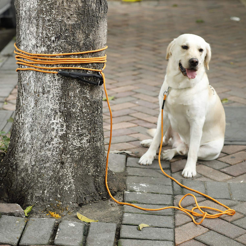 HAPPY HACHI Dog Training Lead, 10m/33ft Dog Long Lead Line Rope Reflective Nylon Recall Obedience Leash for Pet(Orange) Orange - PawsPlanet Australia